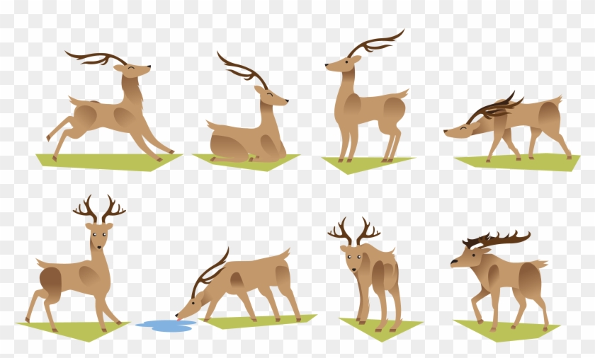 Reindeer Antler Cartoon Deer Grazing Transprent Png - กวาง กิน หญ้า การ์ตูน Clipart