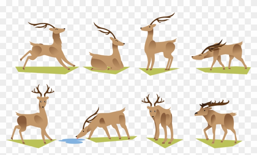 Reindeer Antler Cartoon Deer Grazing Transprent Png - กวาง กิน หญ้า การ์ตูน Clipart #1782321