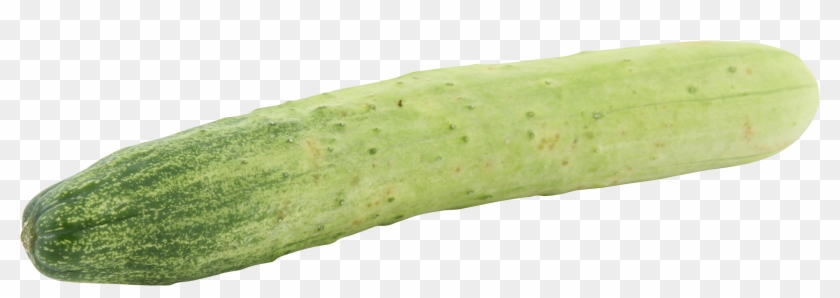 Cucumber-155710 Clip - Squash - Png Download #1782546
