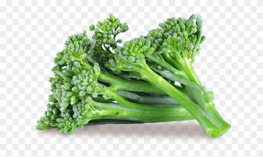 Baby Broccoli - Broccoli Clipart