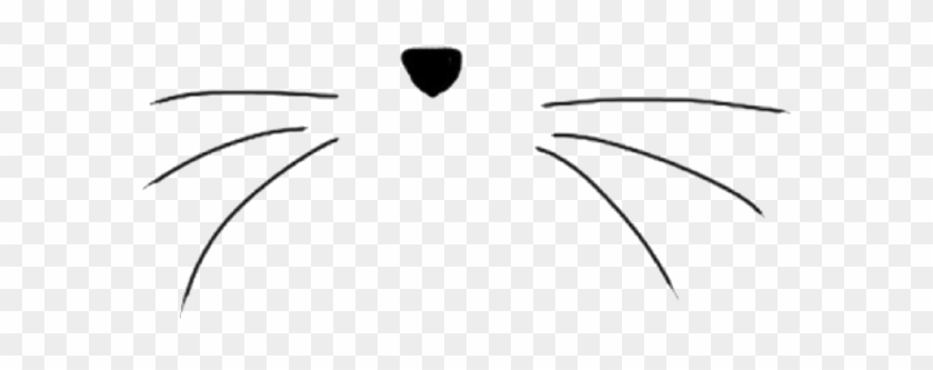 Thumb Image - Cat Whiskers Clipart Black And White - Png Download