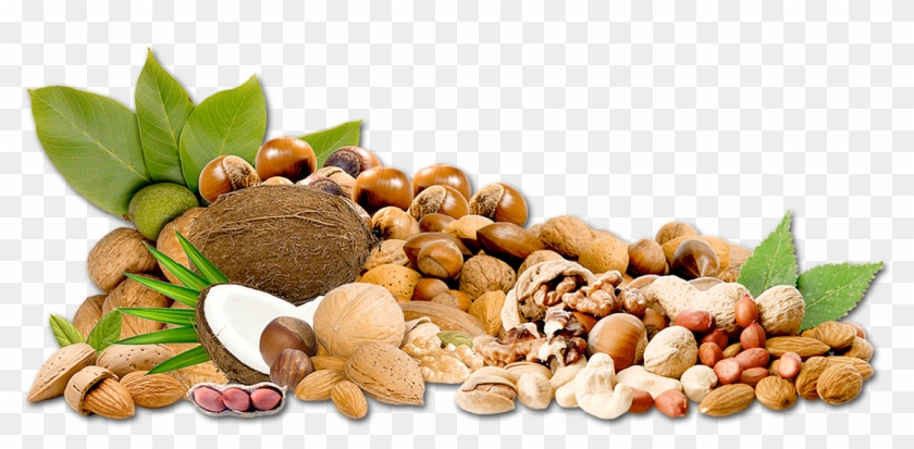 Dried Fruits - Almond Clipart #1785091