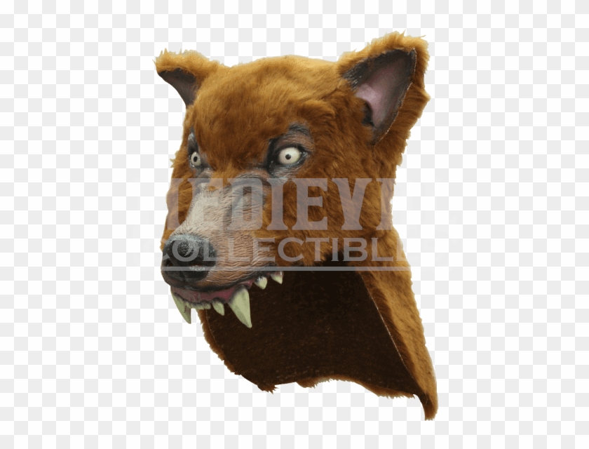 Helmet Wolf Brown Clipart #1785542