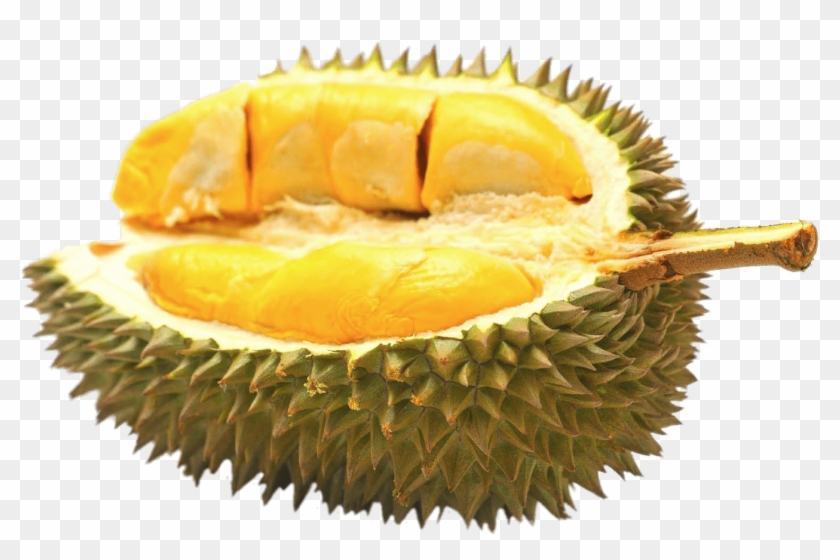 Download - Durian Transparent Clipart