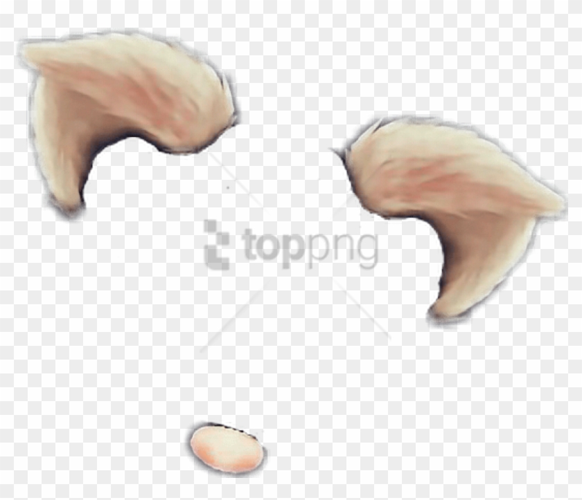 Free Png Snapchat Filter Cat Ears Png Image With Transparent - Snapchat Cat Filter Png Clipart