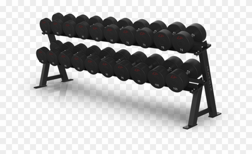 734 X 500 8 - Haltere Matrix Clipart