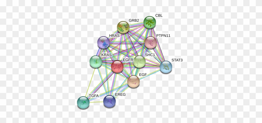 Circle Clipart #1787209