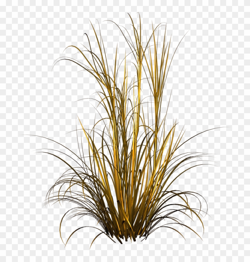 Designer Clothes, Shoes & Bags For Women - Free Grass Png Clipart