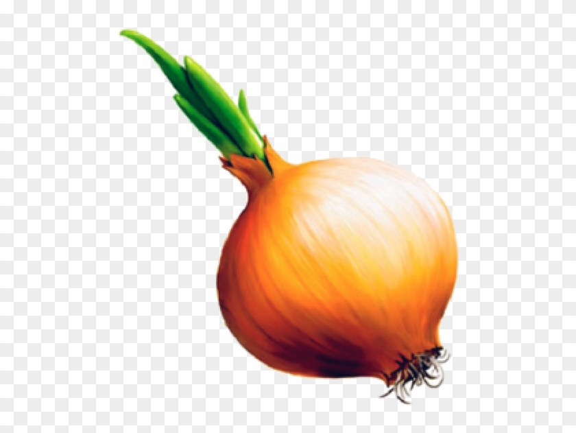 Onion Png Free Download - Детей Лук Clipart #1790778