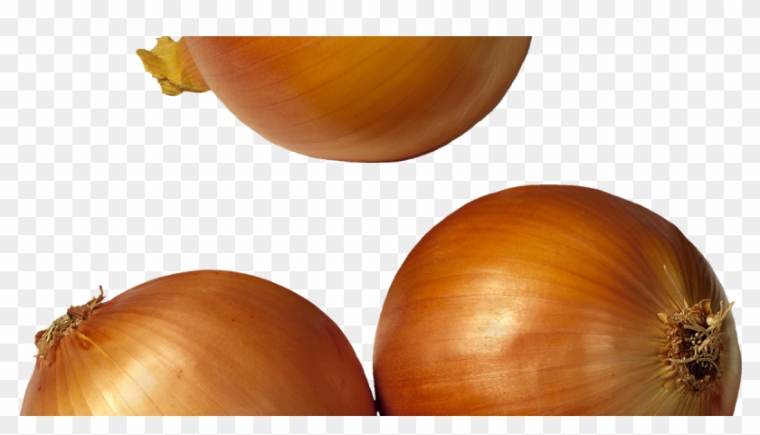 Hacer Una Cebolla De Goma Eva Clipart