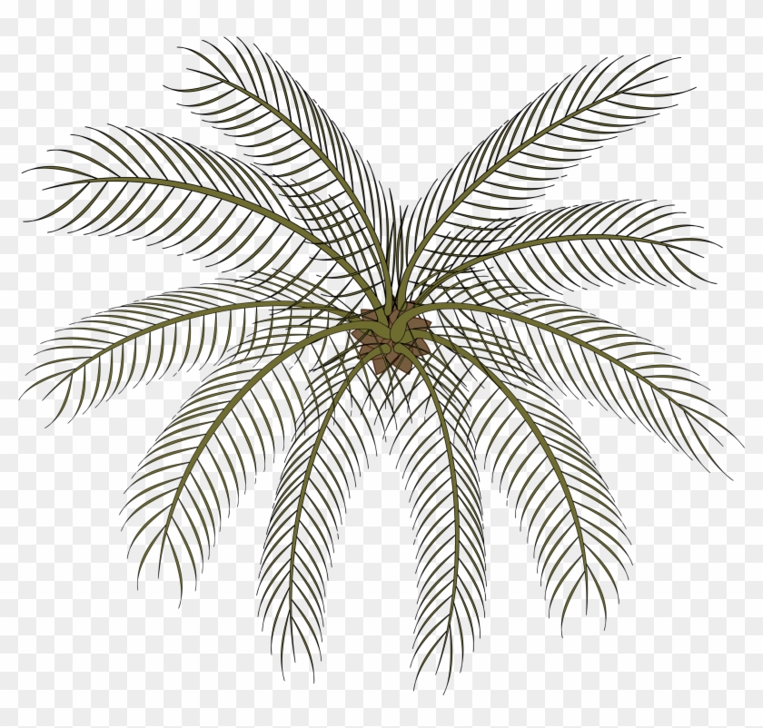 Clipart Palm 02a - Gare Do Oriente - Png Download