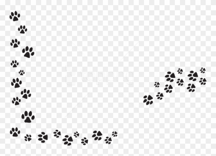 paw print with transparent background