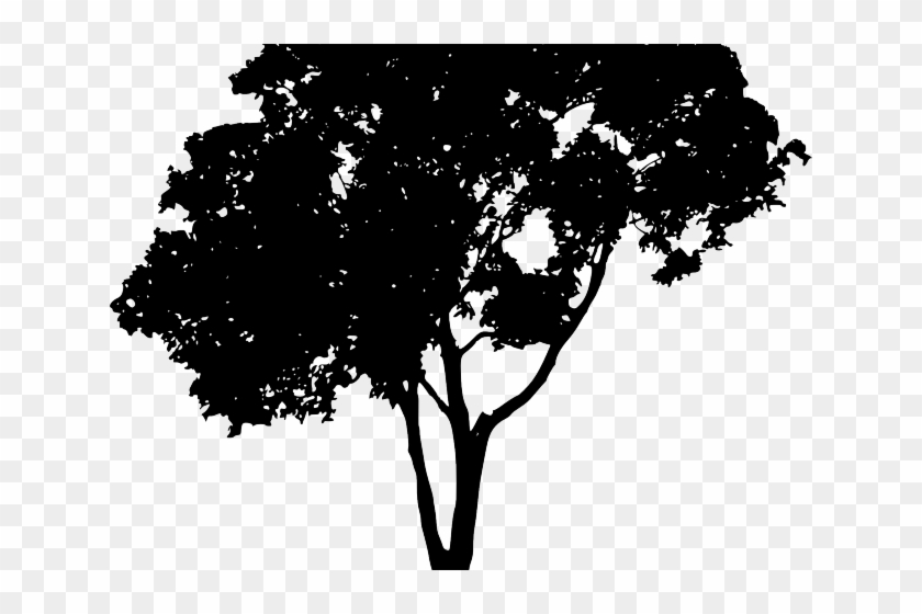 Tree Vector Png - Transparent Tree Vector Png Clipart #1792446