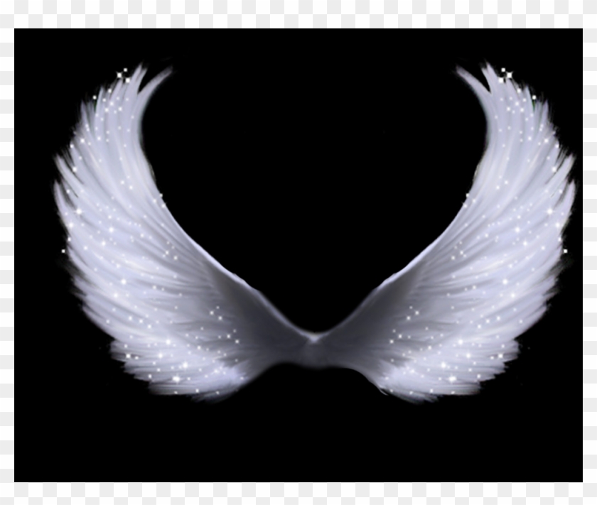 We Have One Of The Worlds Largest Collect Of Png Images - Darkness Clipart