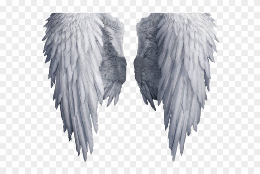 Angel Wings Png - Transparent Background Angel Wings Png Clipart #1794858