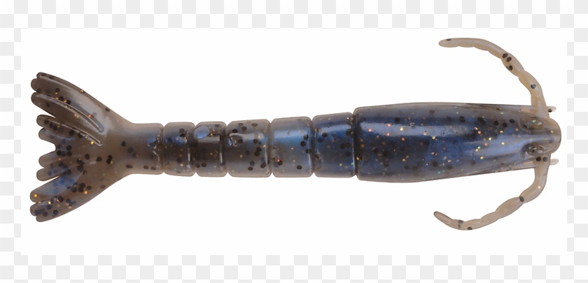 Saltwater Shrimp - Homarus Gammarus Clipart #1794859