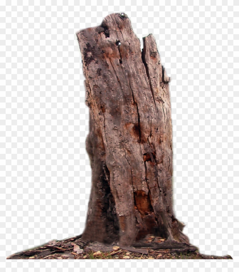 Deadtree Rottentree Rotten Tree - Tree Trunk Transparent Clipart