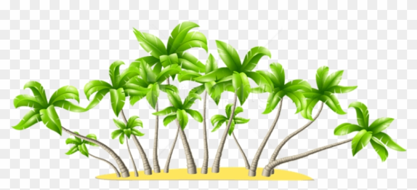 Free Png Download Palm Trees Clipart Png Photo Png - Coconut Trees * .png Transparent Png #1797272