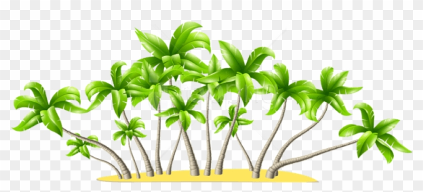 Free Png Download Palm Trees Clipart Png Photo Png - Coconut Trees * .png Transparent Png
