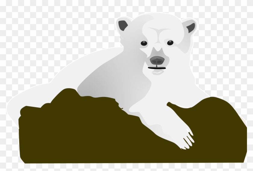 Knut The Polar Bear By Aitor Avila - Illustration Clipart