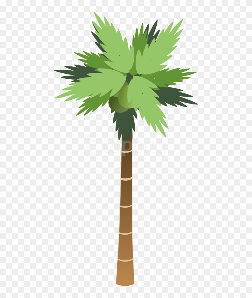 Free Png Download Palm Tree Clipart Png Photo Png Images - Cartoon Palm Tree Png Transparent Png