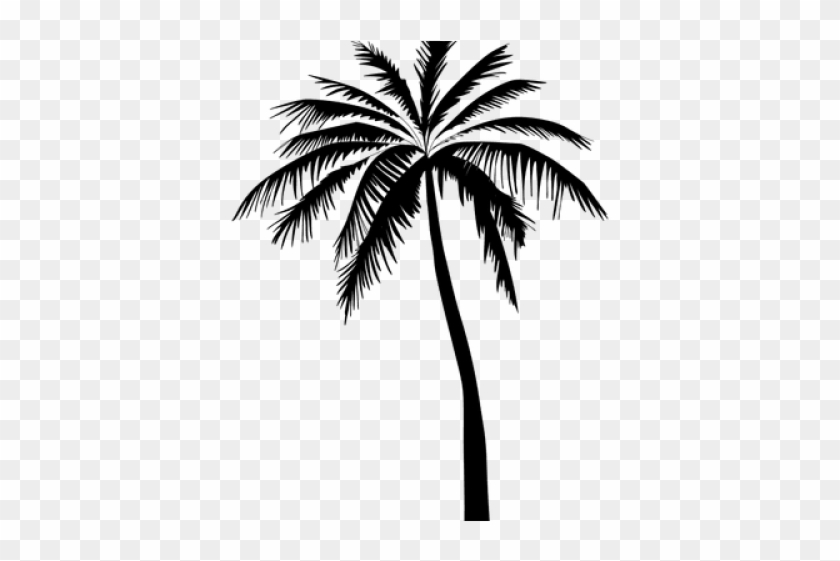 Drawn Palm Tree Transparent - Coconut Tree Vector Png Clipart