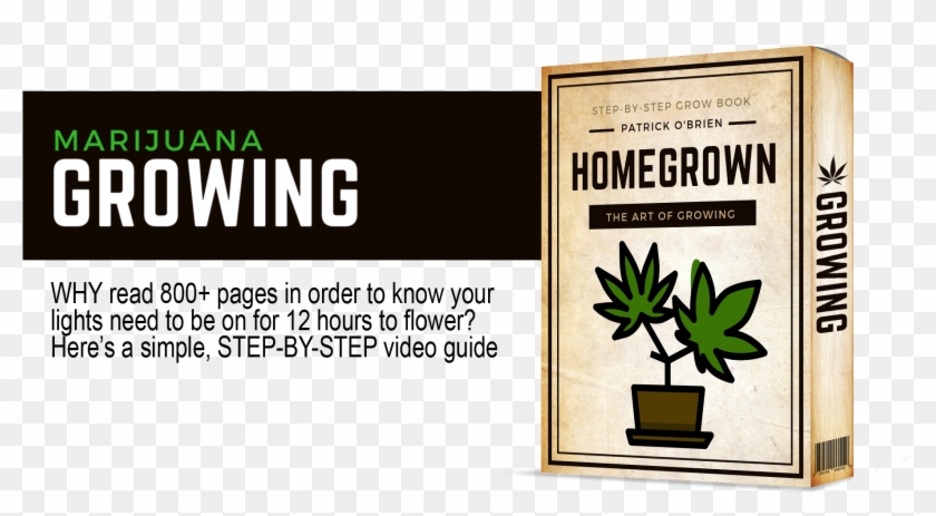 How To Grow Marijuana - Herbal Clipart #1798673