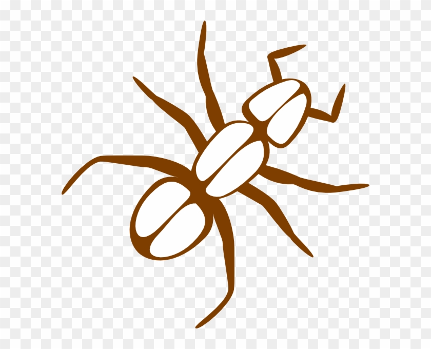 Ant Outline Brown Svg Clip Arts 600 X 600 Px - Png Download #180168