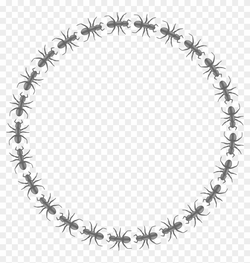 This Free Icons Png Design Of Ant Border Circle Clipart