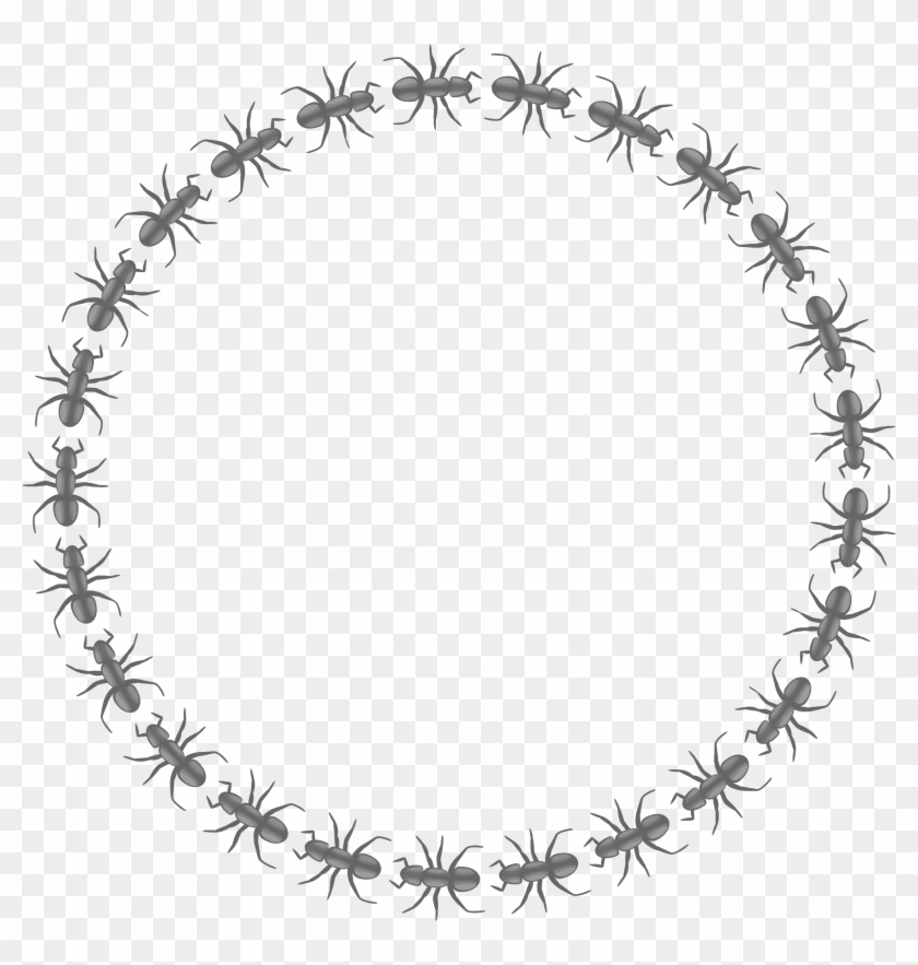 This Free Icons Png Design Of Ant Border Circle Clipart #180256