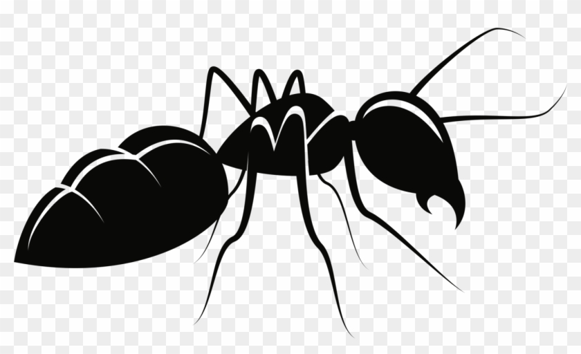 1333 X 750 6 - Drawing Of A Realistic Ant Clipart