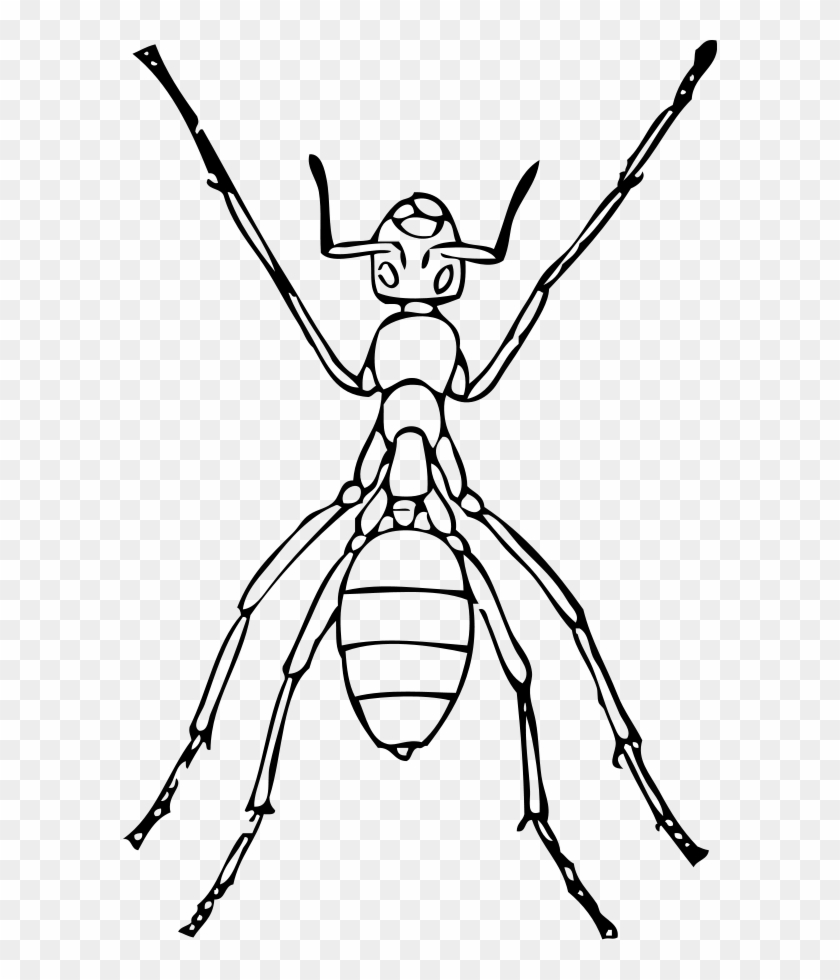 Ant Png Clipart
