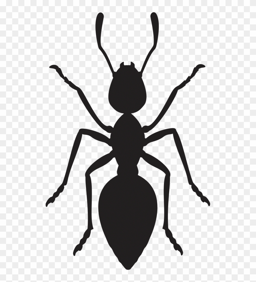Is Your Agency An Ant - Ant Geometric Clipart #180827
