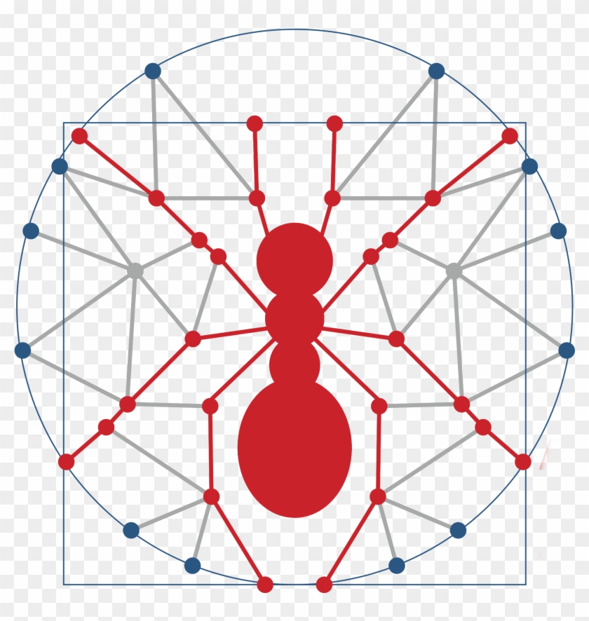 Ant 0 - 0 - - Circle Clipart