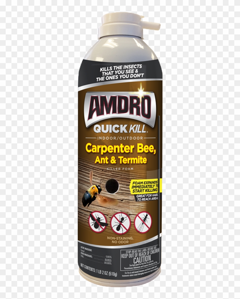 Previous - Carpenter Ant Clipart #181243