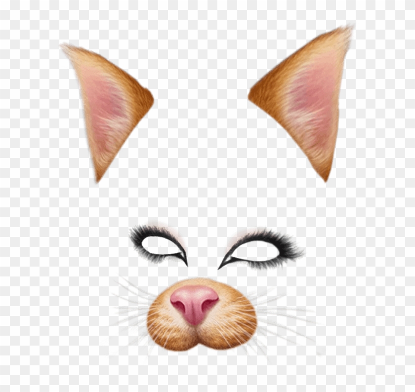 Snapchat Filter Brown Cat - Snap Chat Filters Png Clipart