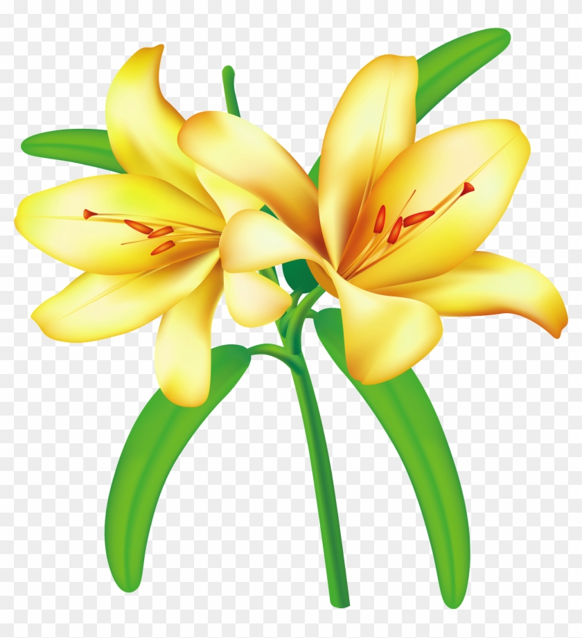 Yellow Flowers, Art Flowers, Flower Art, Flower Clipart, - Yellow Jessamine Png Transparent Png #181833