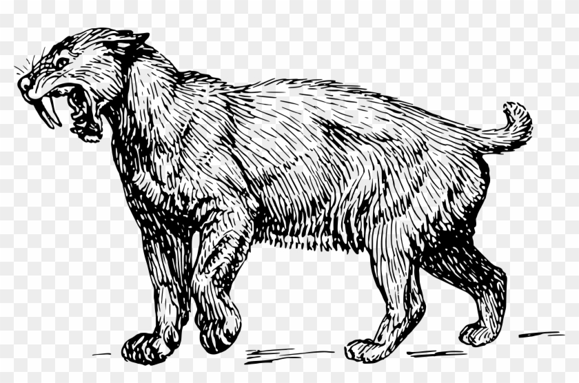 This Free Icons Png Design Of Sabre-toothed Tiger Clipart #181960