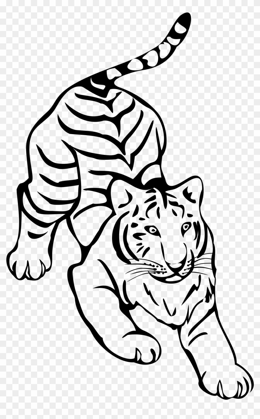 Tiger Png Clipart - Tiger Line Art Png Transparent Png #182002