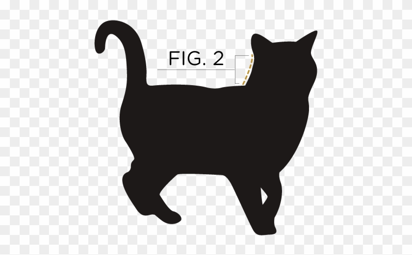 Measure From The Base Of Your Cat's Ears To Their Shoulder - No Photo Available Cat Clipart