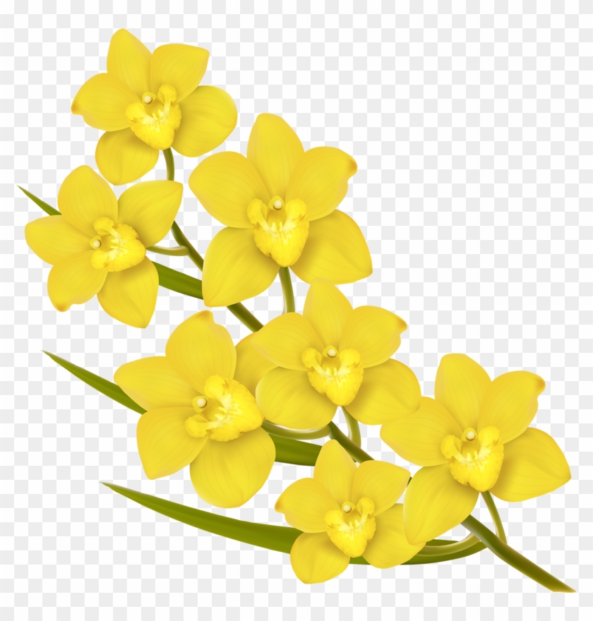 Фото, Автор Soloveika На Яндекс - Yellow Flowers Vector Png Clipart #182120