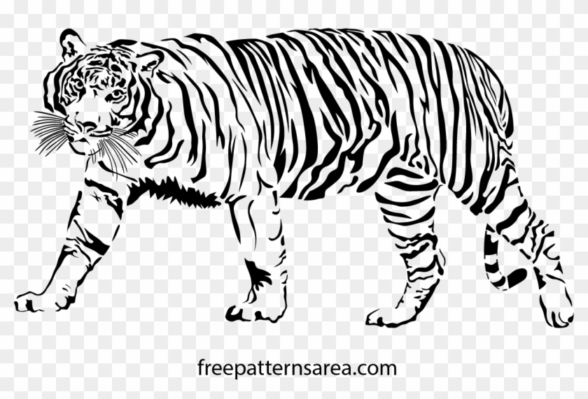 1246 X 788 9 - Bengal Tiger Clipart