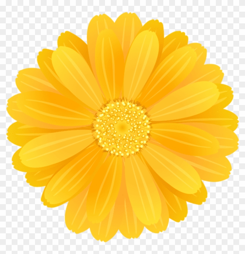 Download Flower Png Images - English Marigold Clipart #182347
