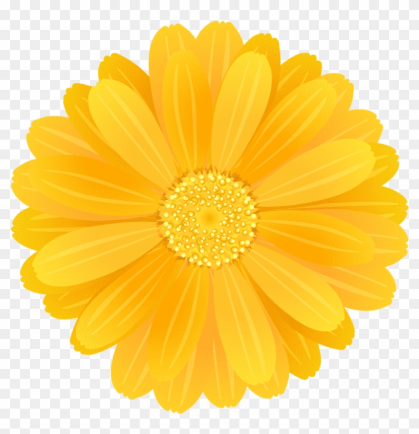 Download Flower Png Images - English Marigold Clipart