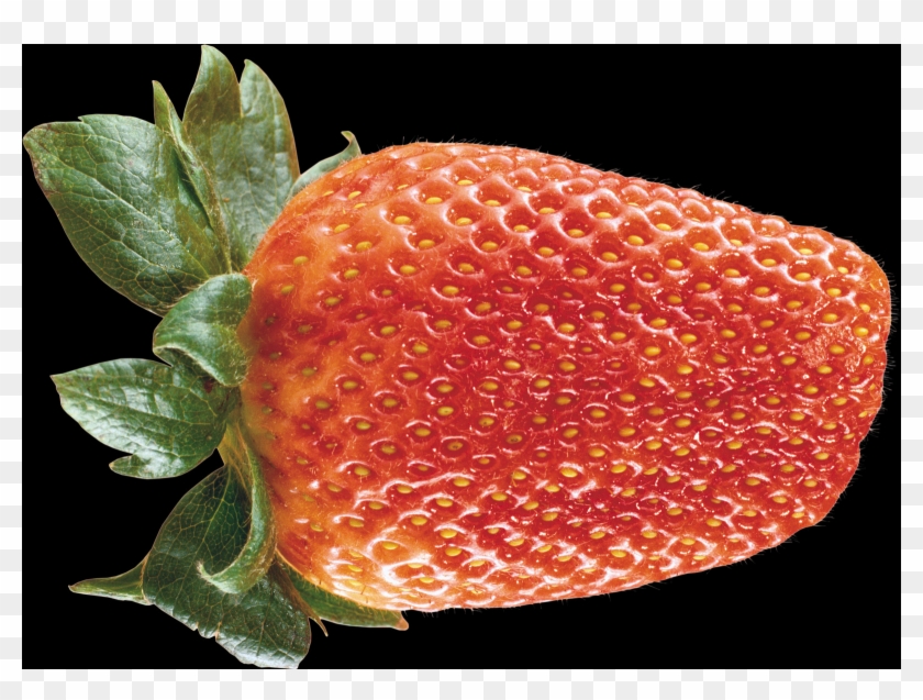 Portable Network Graphics Clipart #182393