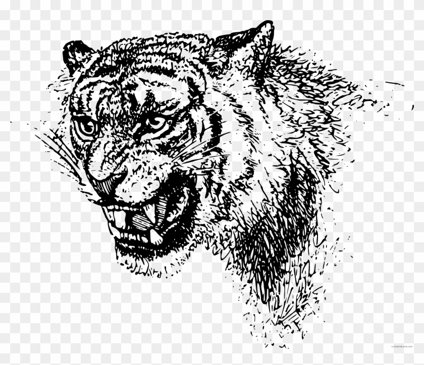 White Tiger Clipart Free Black - Tiger - Png Download