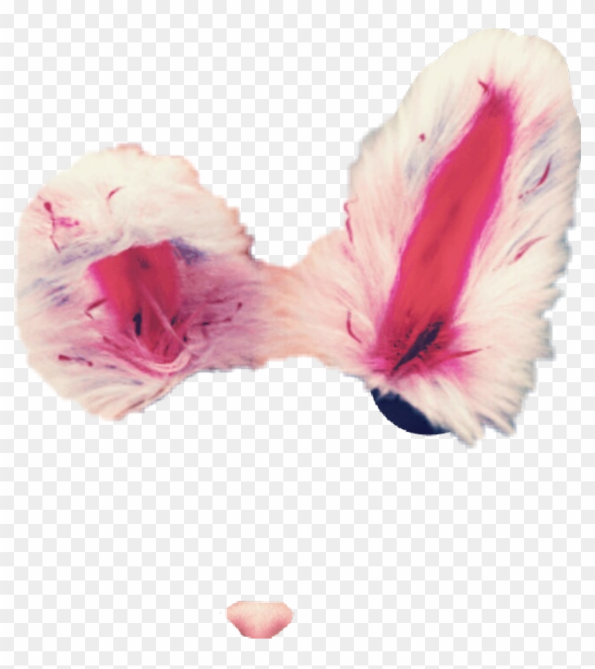 Fluffy Sticker - Fish Clipart #182526