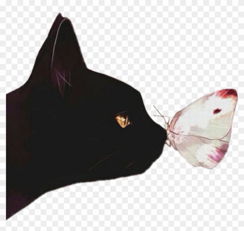 Cat Borboleta Gato Preto Black Tumblr Black Cat Ears - Frase De Freud Gatos Clipart #182816