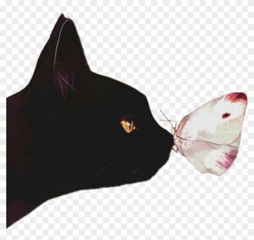 Cat Borboleta Gato Preto Black Tumblr Black Cat Ears - Frase De Freud Gatos Clipart