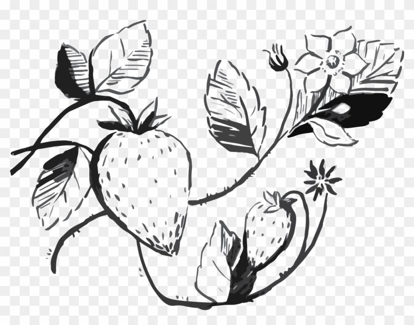 Arugula Salad With Strawberries - Illustration Clipart